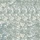 Polvere Acrilica  Glitterata Argento 046